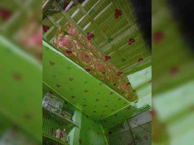 AadhyaLove webcam
