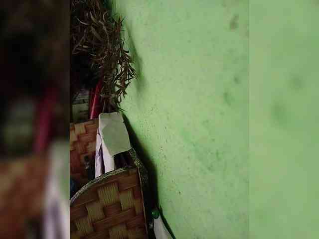 aadhyalove's live room