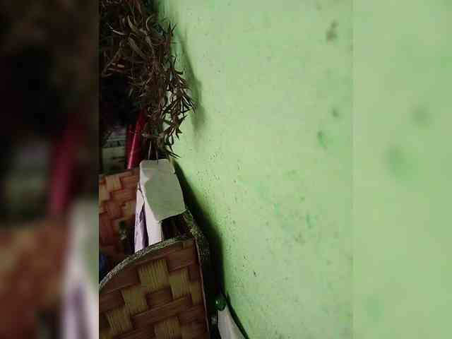 AadhyaLove webcam