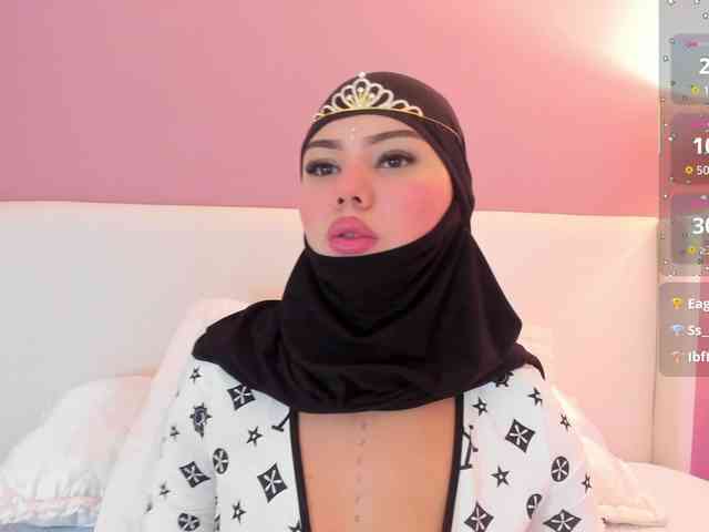 Saandy webcam