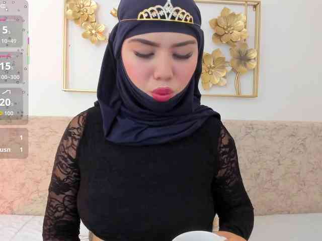 Saandy webcam