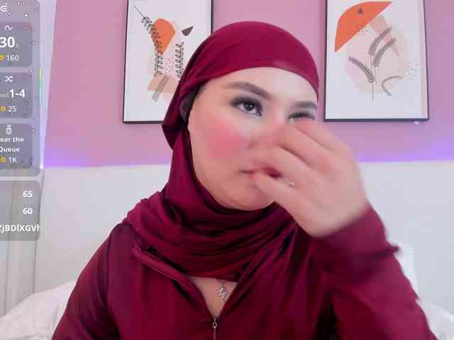 Saandy webcam