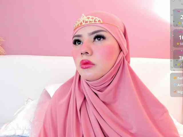 Saandy webcam