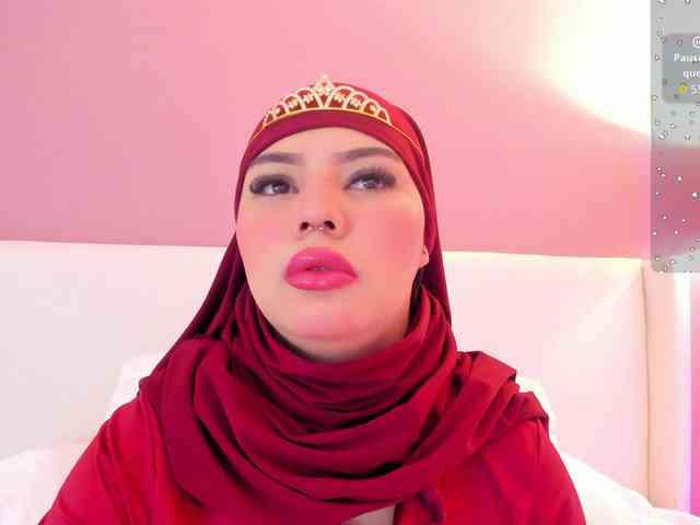 Saandy webcam