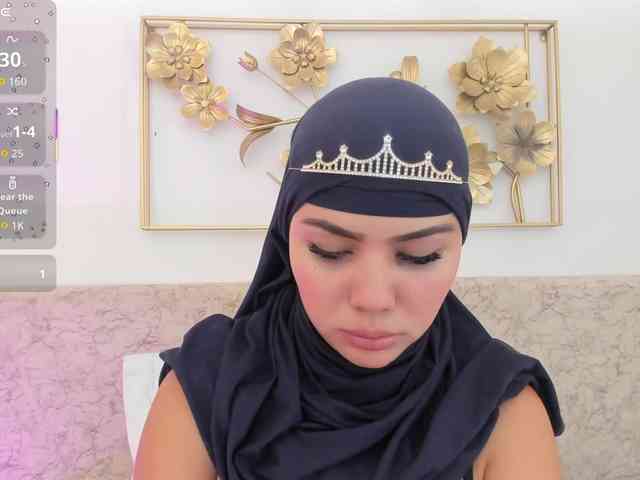Saandy webcam
