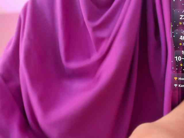 Saandy webcam
