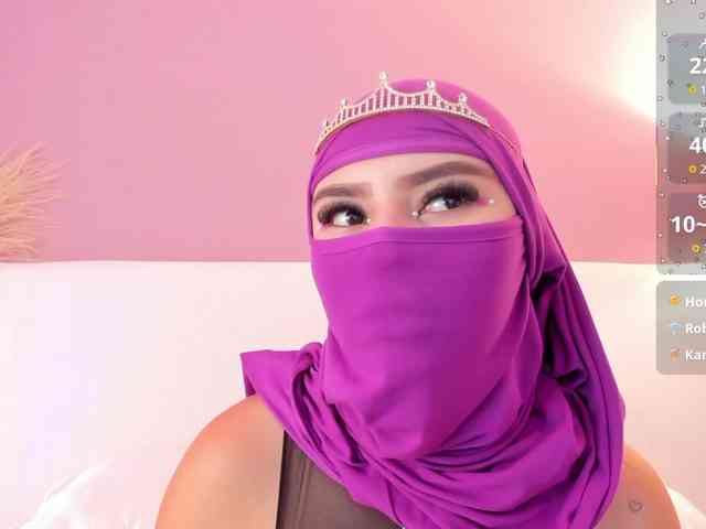 Saandy webcam