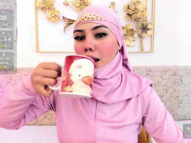 Saandy webcam