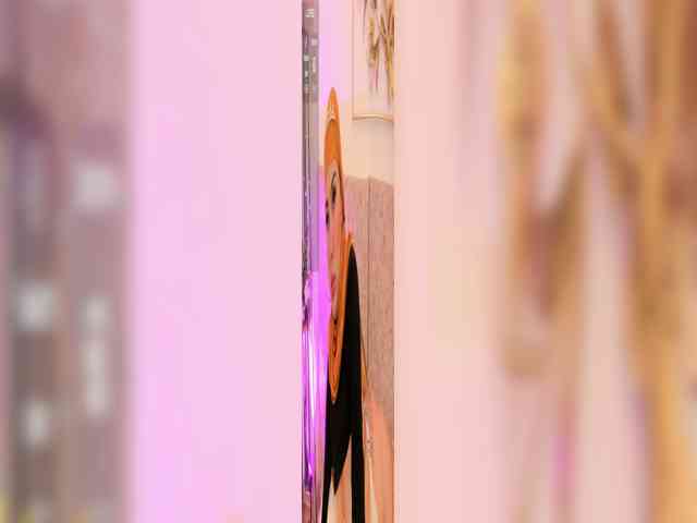 Saandy webcam