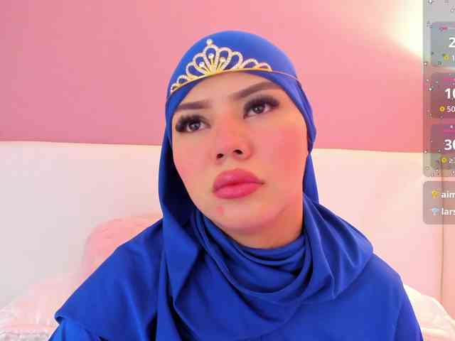 Saandy webcam