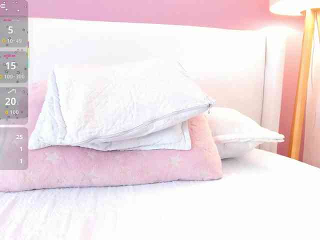 Saandy webcam
