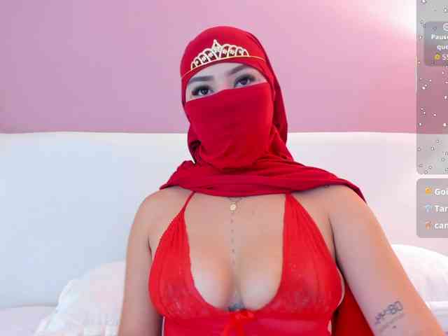Saandy webcam