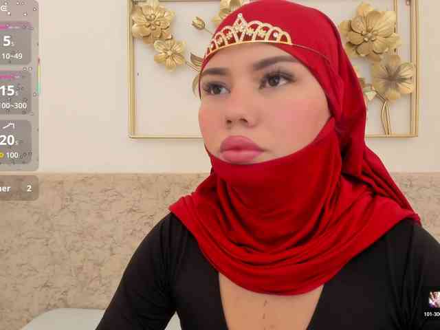 Saandy webcam