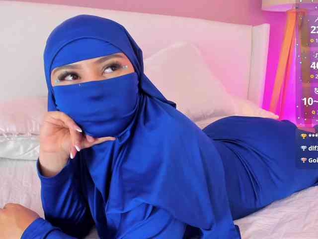 Saandy webcam