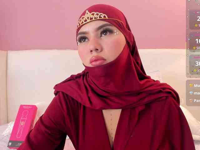 Saandy webcam