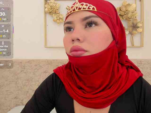 Saandy webcam