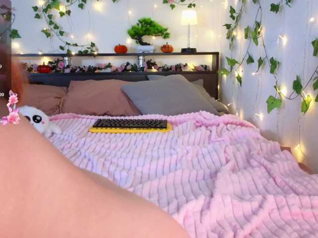 Candy-floss live cam