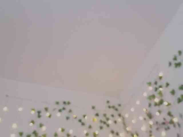 Candy-Floss webcam