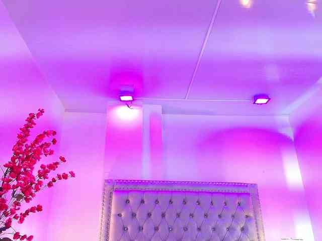 Ahilin-luther webcam