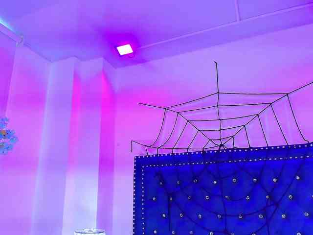 Ahilin-luther webcam