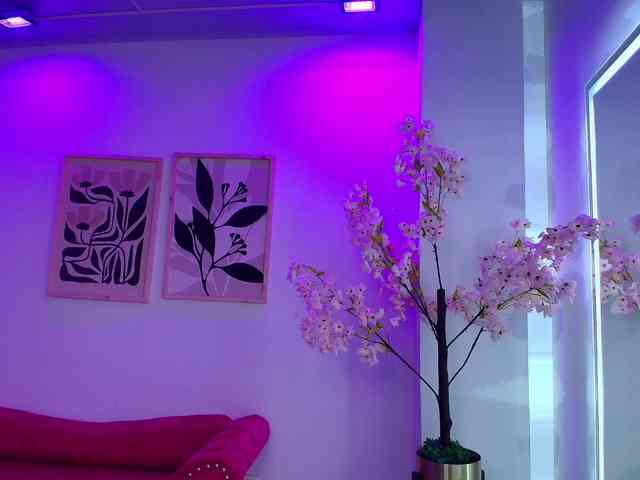ahilin-luther's live room