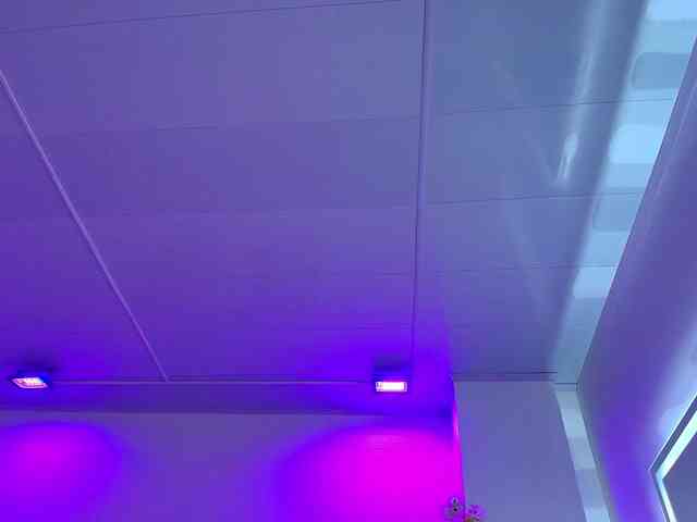 Ahilin-luther webcam