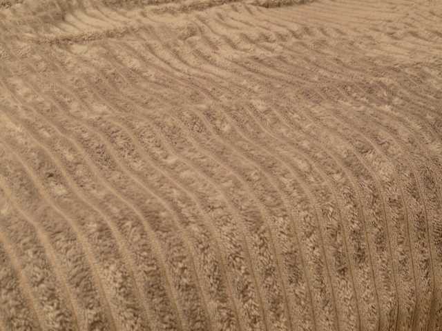 Starfeet's BongaCams show and profile