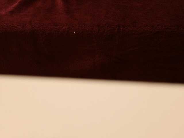 Starfeet live cam on BongaCams