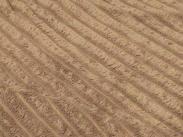 Starfeet's BongaCams show and profile