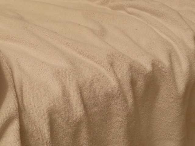 starfeet live sex