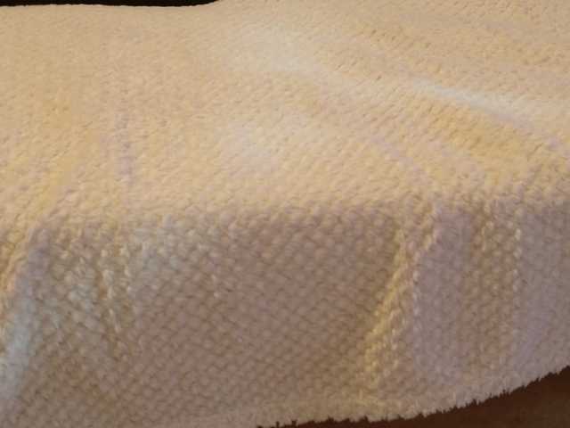 Starfeet live cam on BongaCams