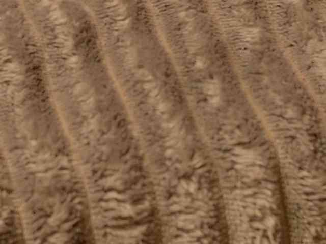 Starfeet webcam