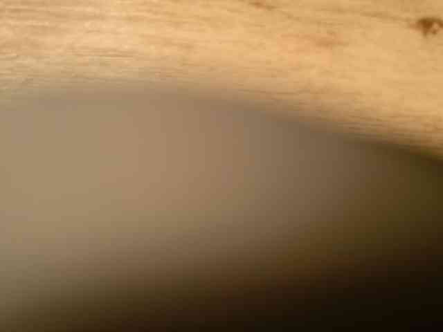 Starfeet webcam