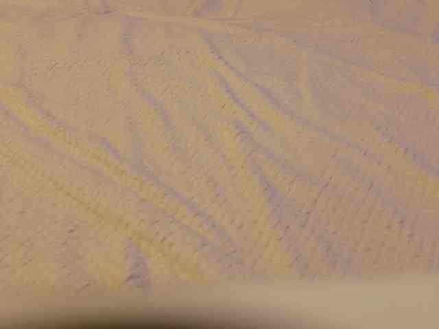 Starfeet webcam