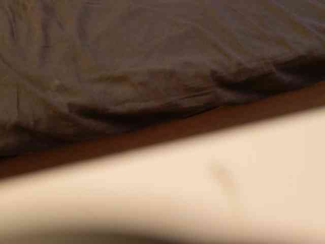 Starfeet webcam