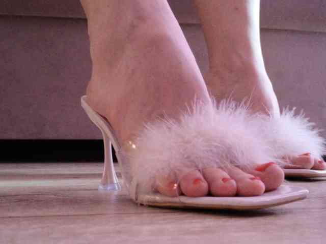 Starfeet webcam
