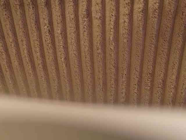 Starfeet webcam