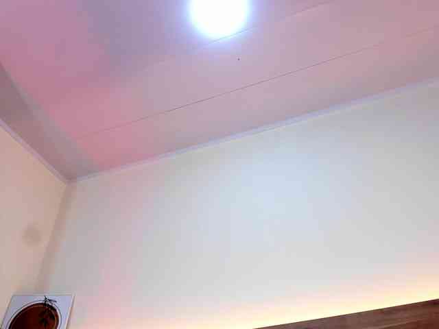 thamiina webcam