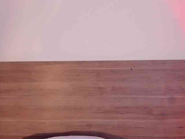 thamiina webcam