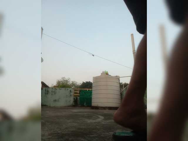 Hotboynk