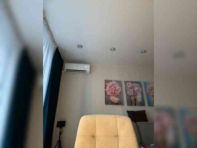 HotWillow webcam