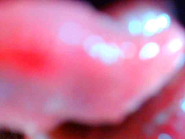 indianerotica69 Live Webcam on BongaCams