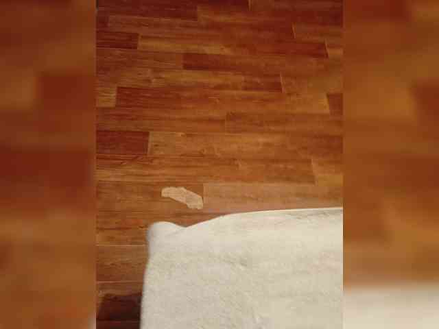 Bania-katia webcam