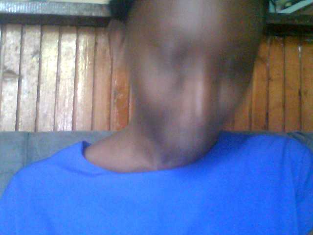 swit254