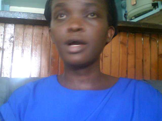 swit254