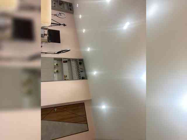 LeiaStone webcam