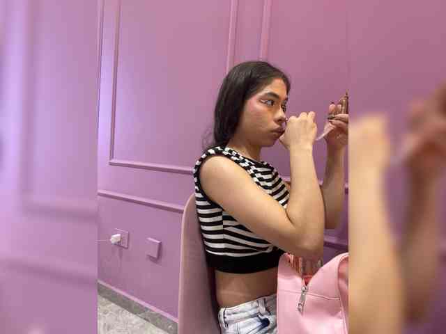 LeiaStone webcam