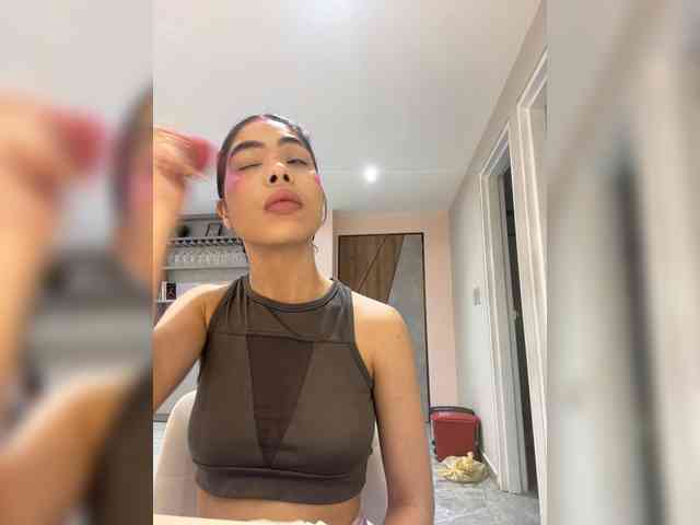 LeiaStone webcam