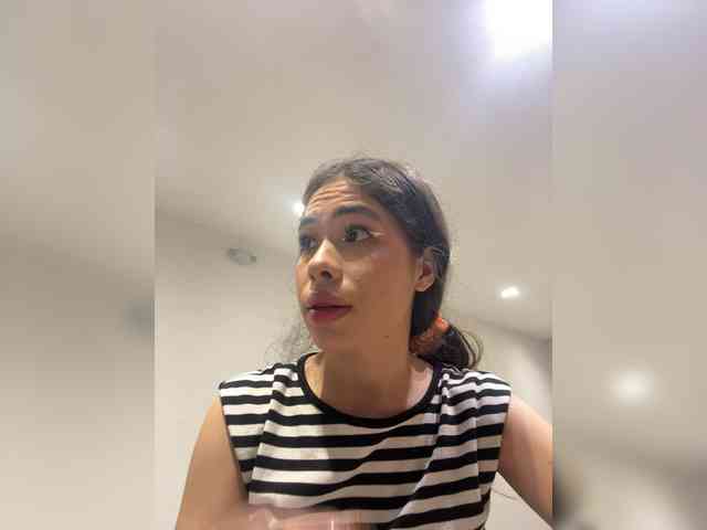 LeiaStone webcam