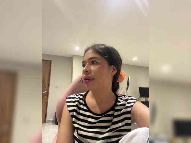 LeiaStone webcam